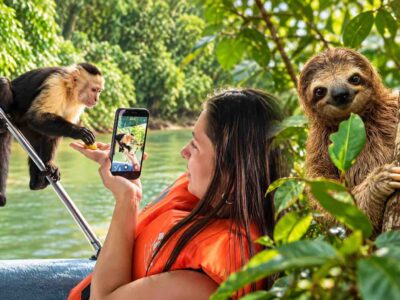 Monkey Island Panama tour cover showing a guest photographing a capuchin monkey, blended with a sloth