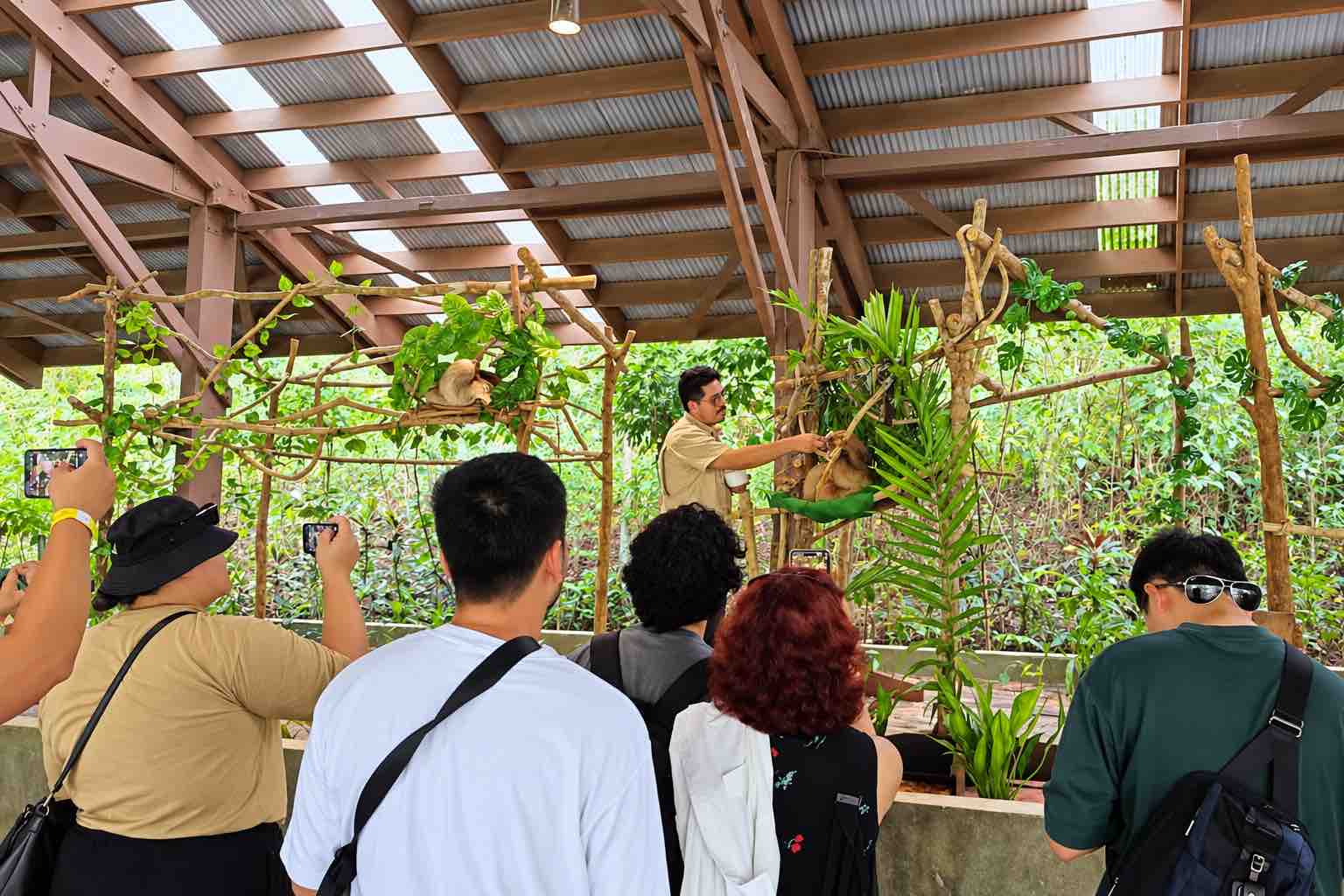 Gamboa Sloth Sanctuary Panama Guests watching a guide beside sloths at the Gamboa Sloth Sanctuary during a Monkey Island Panama tour