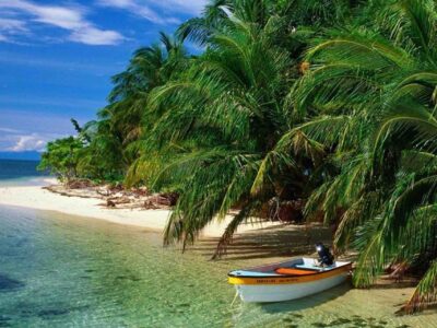 bocas del toro island hopping tour beach with lancha boat and palm trees