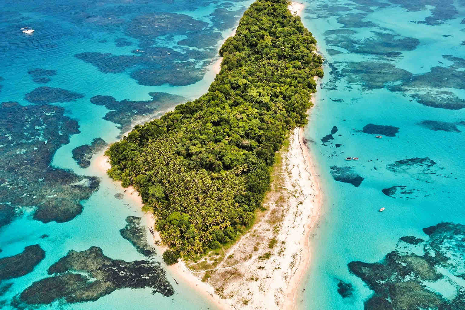 Home Elementor 26 Aerial view of a forest-covered Zapatilla island surrounded by beaches and reef shallows.