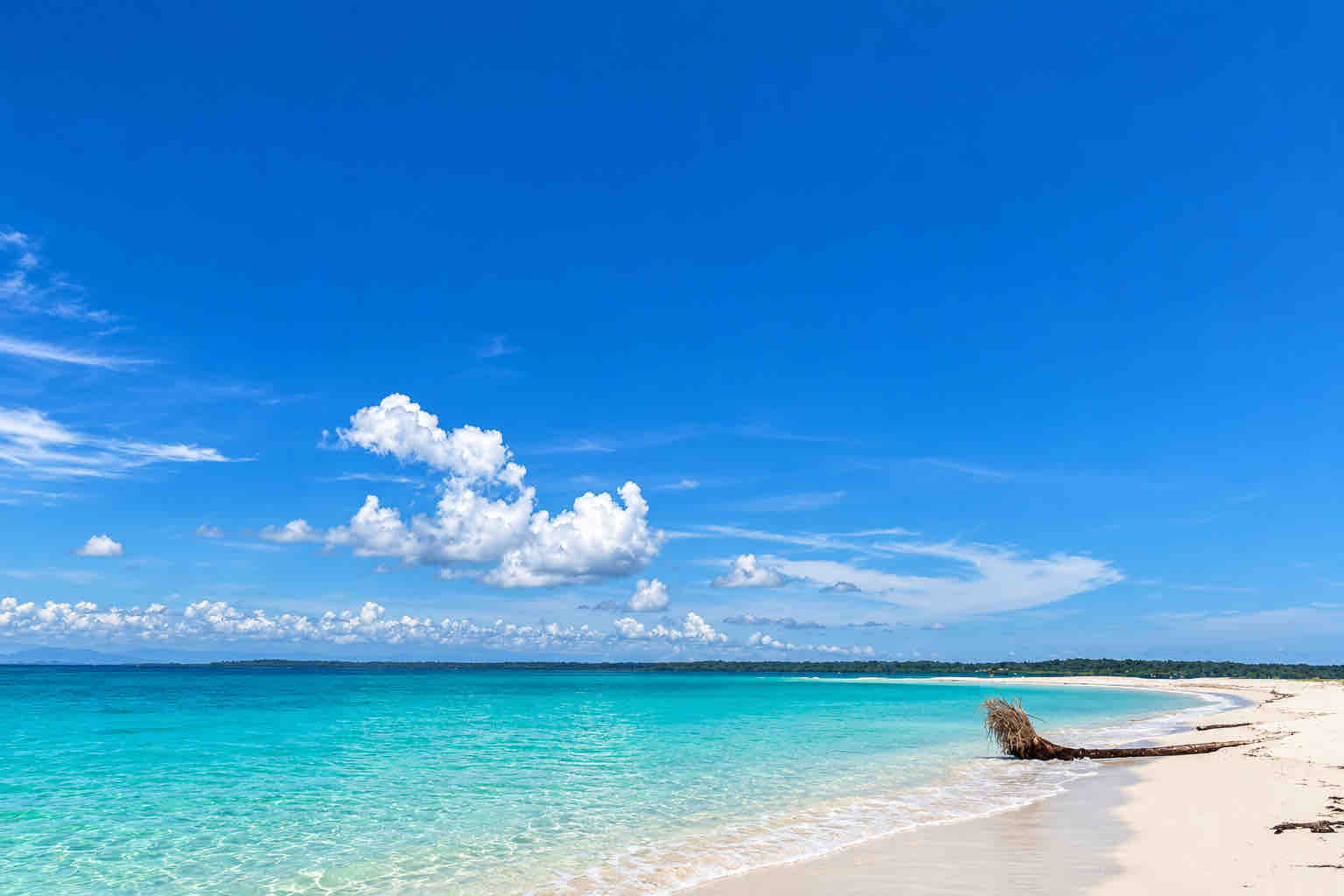 Cayos Zapatilla Beach – Bocas del Toro White-sand beach at Cayos Zapatilla on a Zapatilla Island Tour from Bocas del Toro
