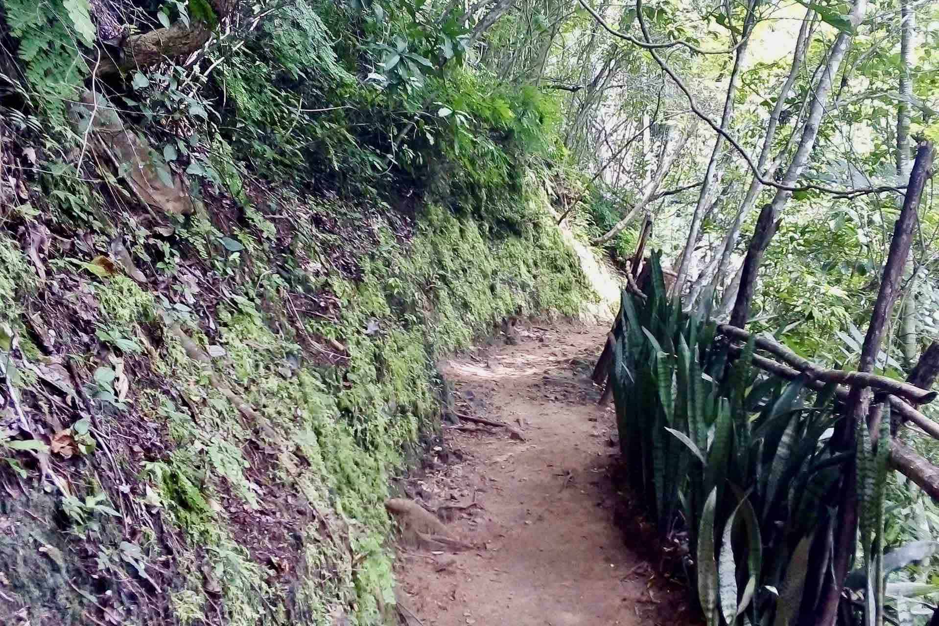 Huatulco waterfalls tour nature path