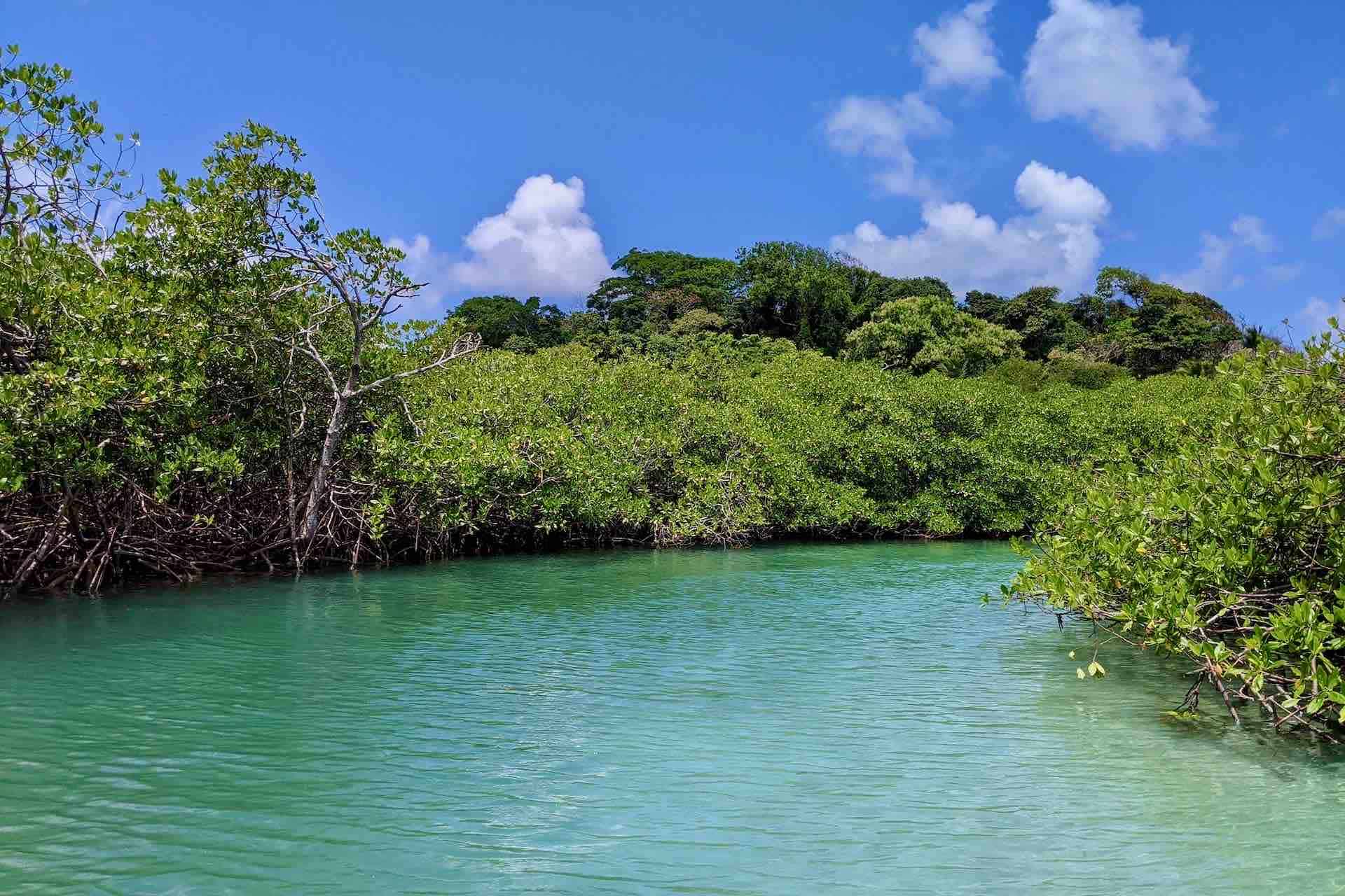 Isla Grande Panama Caribbean Coast island hopping tour guests in Tunnel of Love scenery