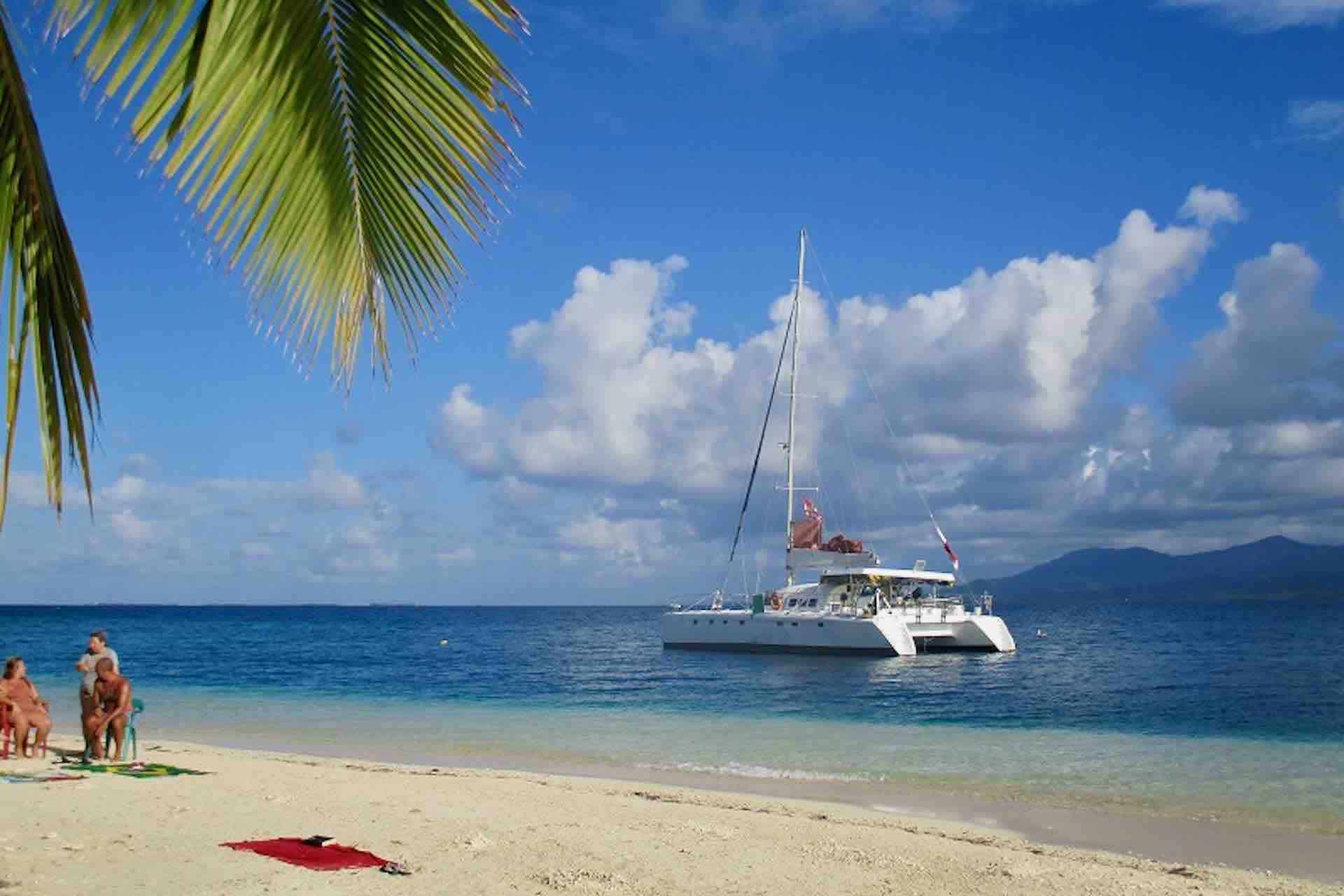 Taboga island tour catamaran anchored in front of beach with palm tree