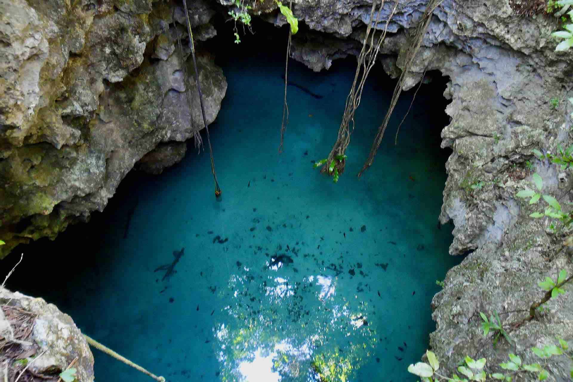 Cenote Riviera Maya sink hole jungle Mexico