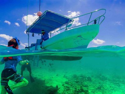Riviera Maya snorkel guests in water