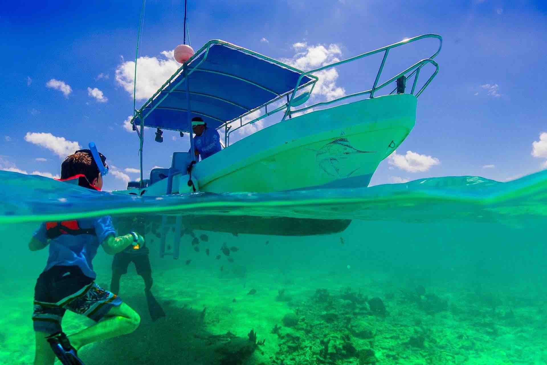 Cenote Riviera Maya snorkel guests in water
