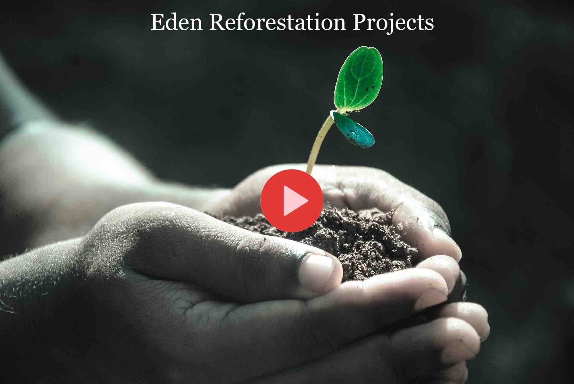 Eden Reforestation Project