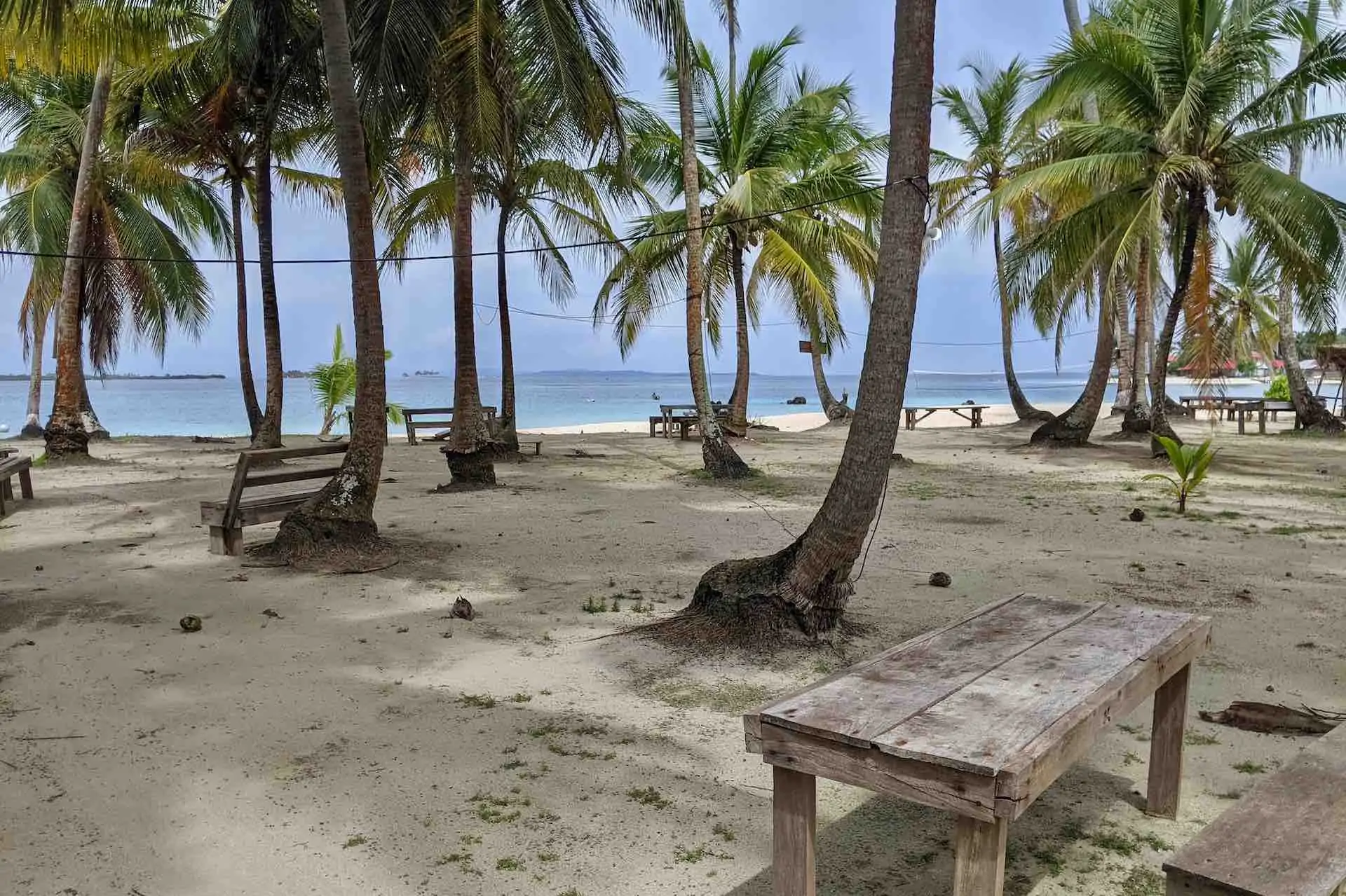 San Blas Isla Perro island view of palm trees and ocean