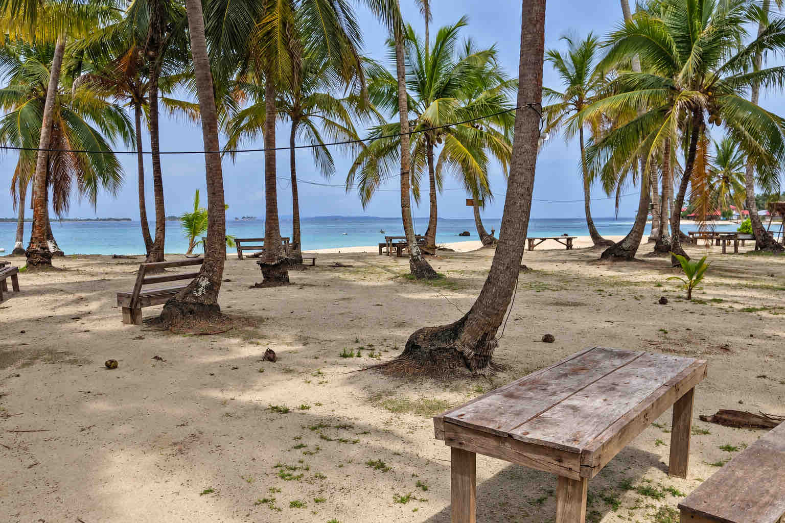 Wooden picnic tables and benches beneath palms beside the beach at Isla Perro San Blas