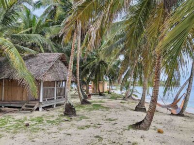 Isla Perro San Blas beachfront cabins surrounded by palm trees
