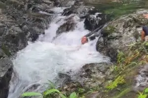 djungle waterfall