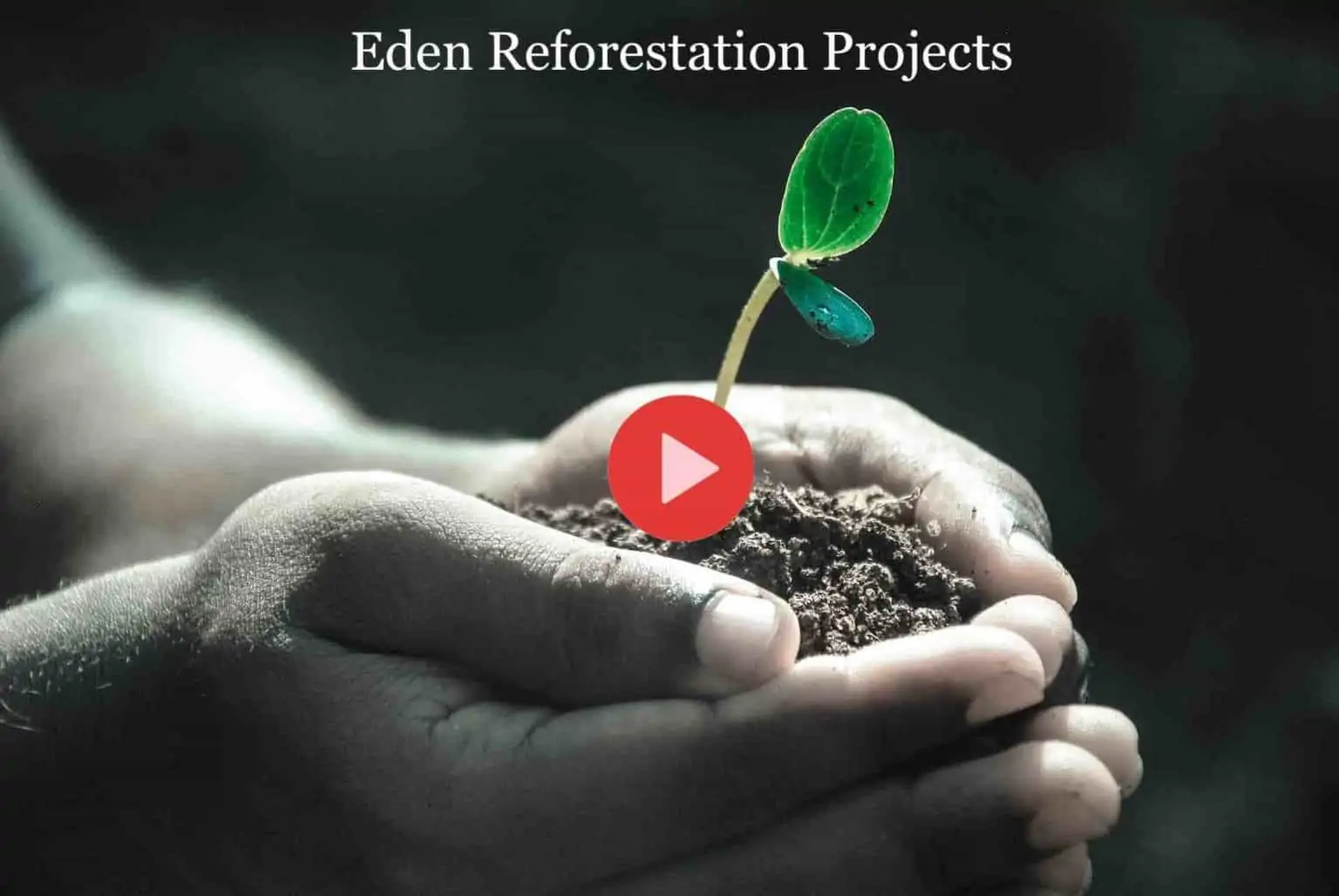 Eden Reforestation Project copy 1536x1028 1