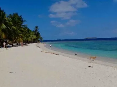 Isla Eneida San Blas playa de arena blanca