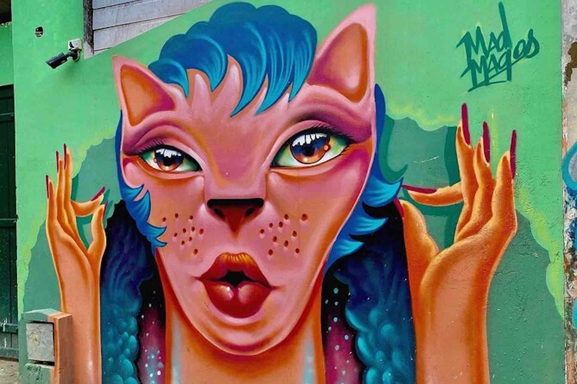 Casco Viejo Walking Tour – Colorful Street Art Colorful cat mural and street art seen on a Casco Viejo walking tour