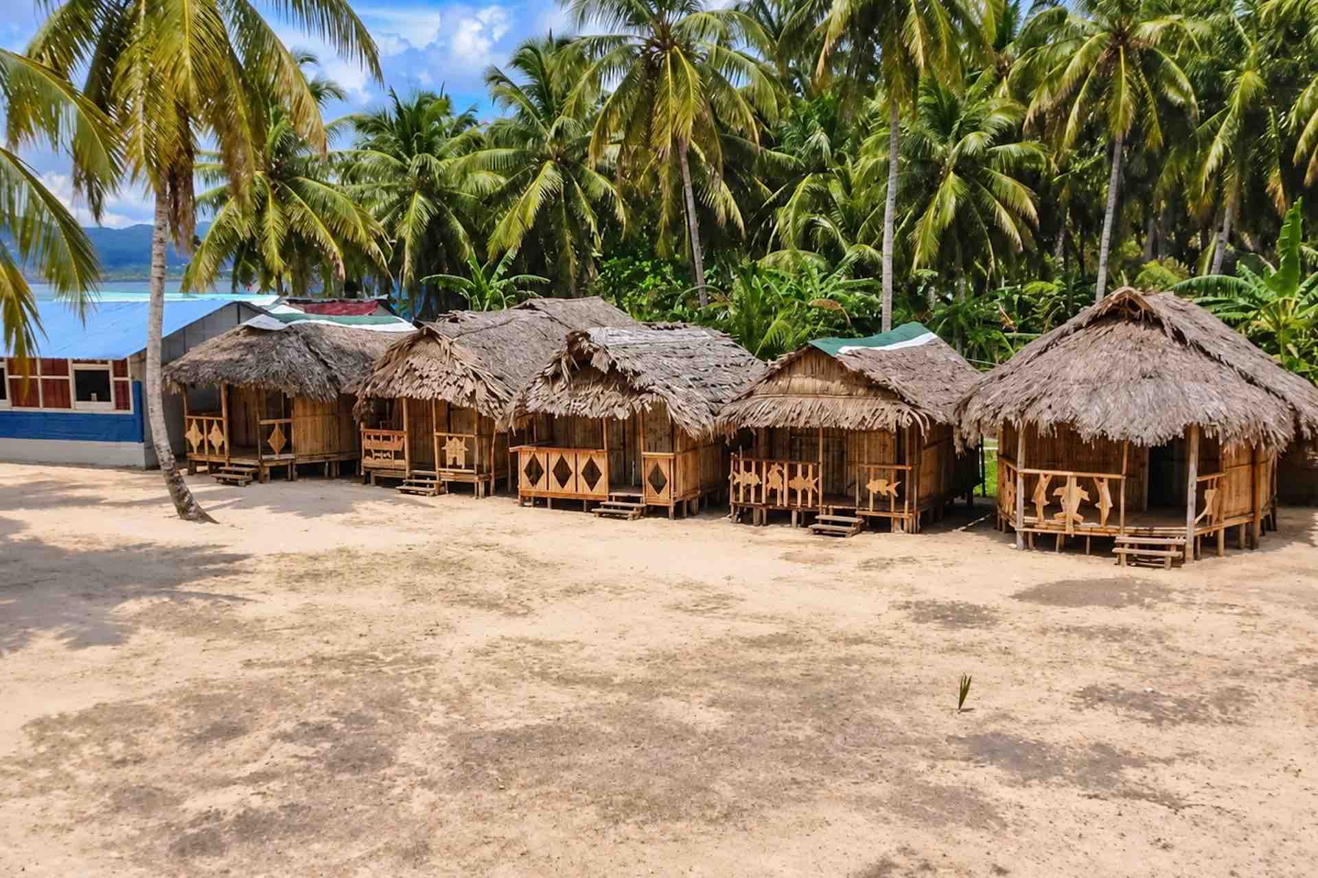Row of thatched wooden cabins beneath palms on Isla Ina