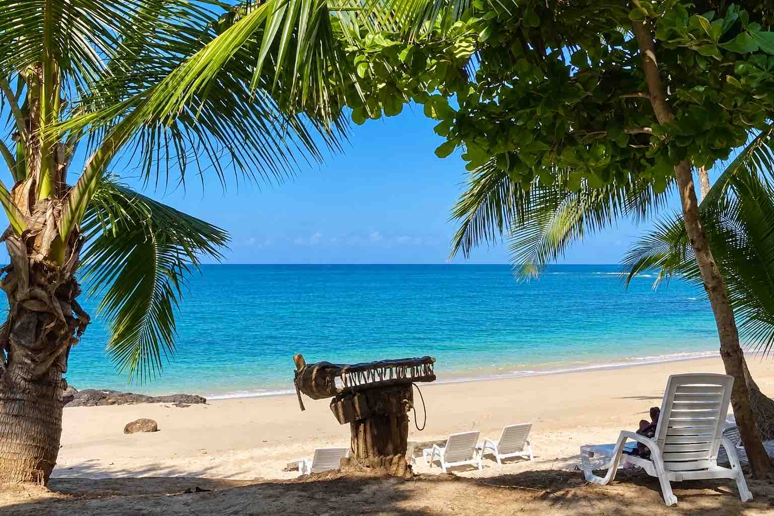 Palm trees and beach loungers overlooking the ocean on a Pearl Islands Panama Day Trip