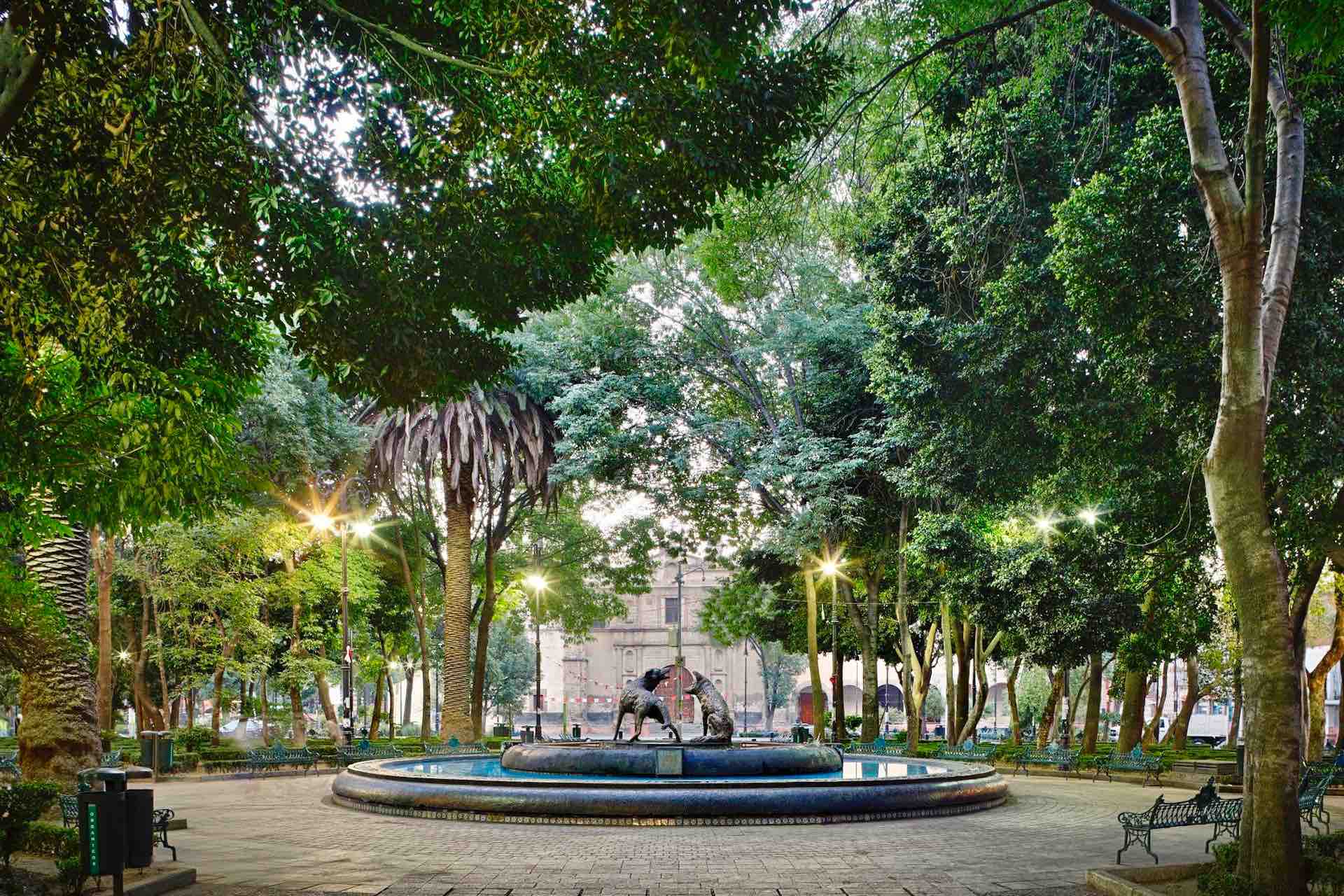 iconic coyotes fountain in downtown coyoacan 1