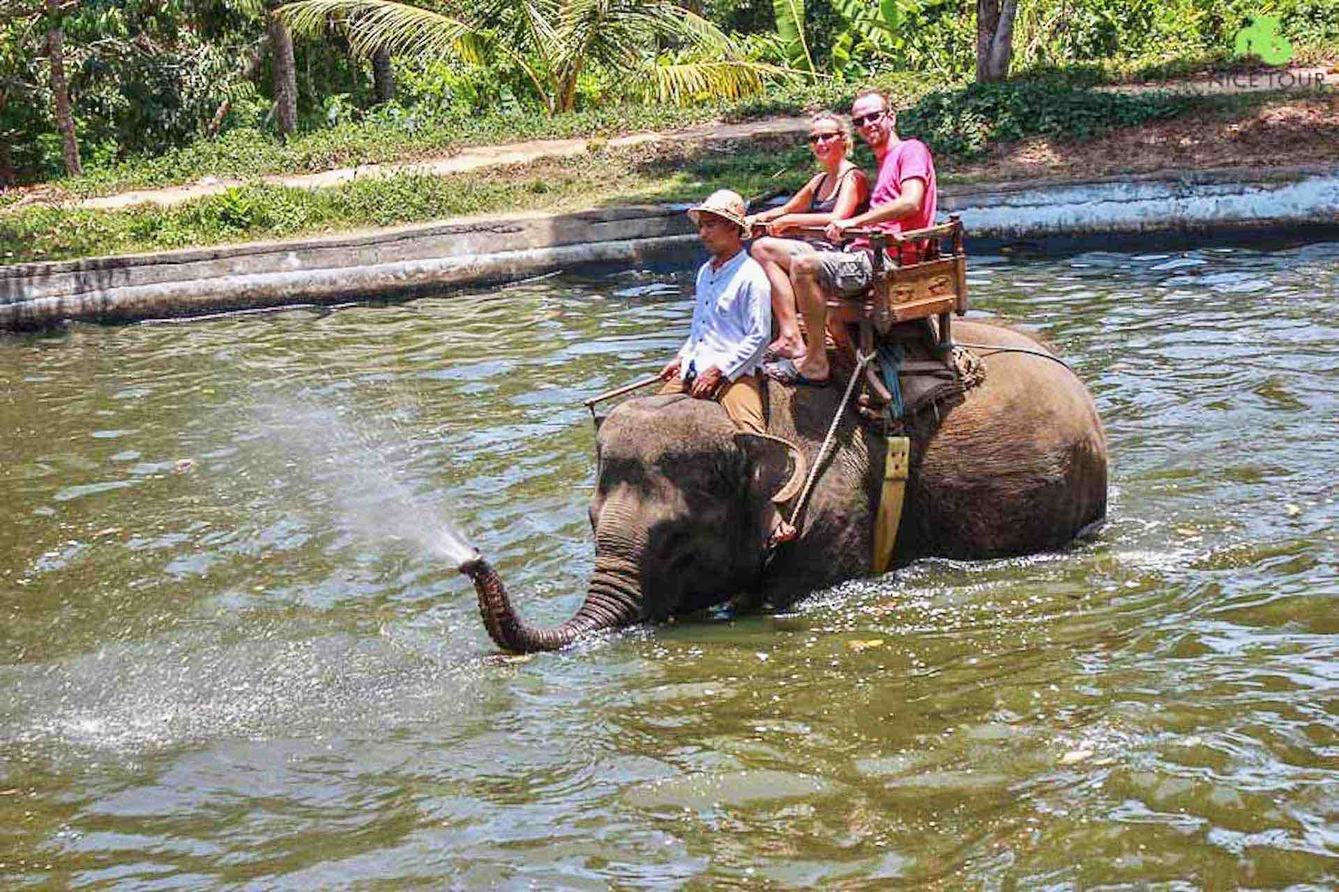 Bali elephant ride in river with guests