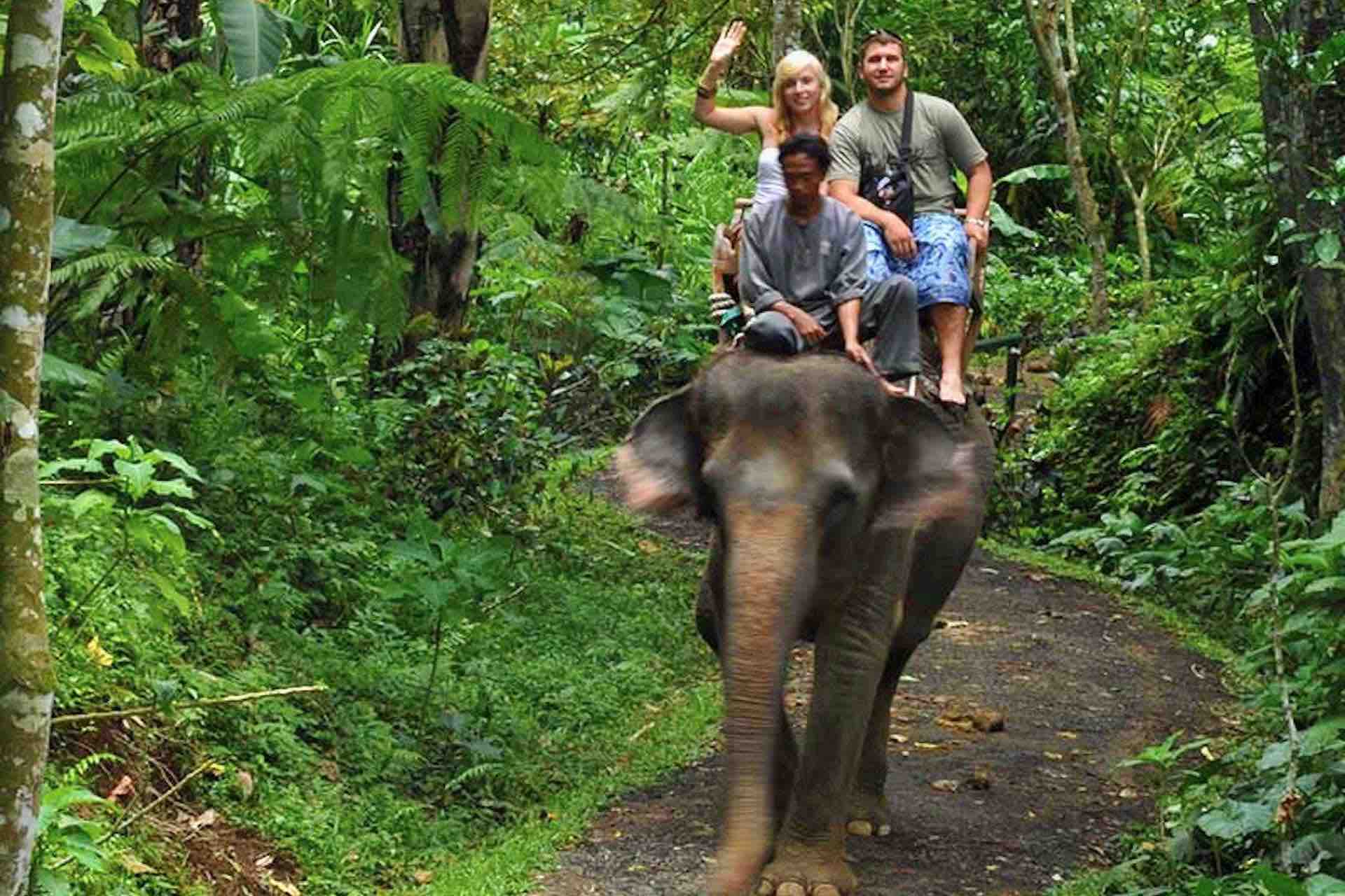 Bali elephant ride with guests in jungle