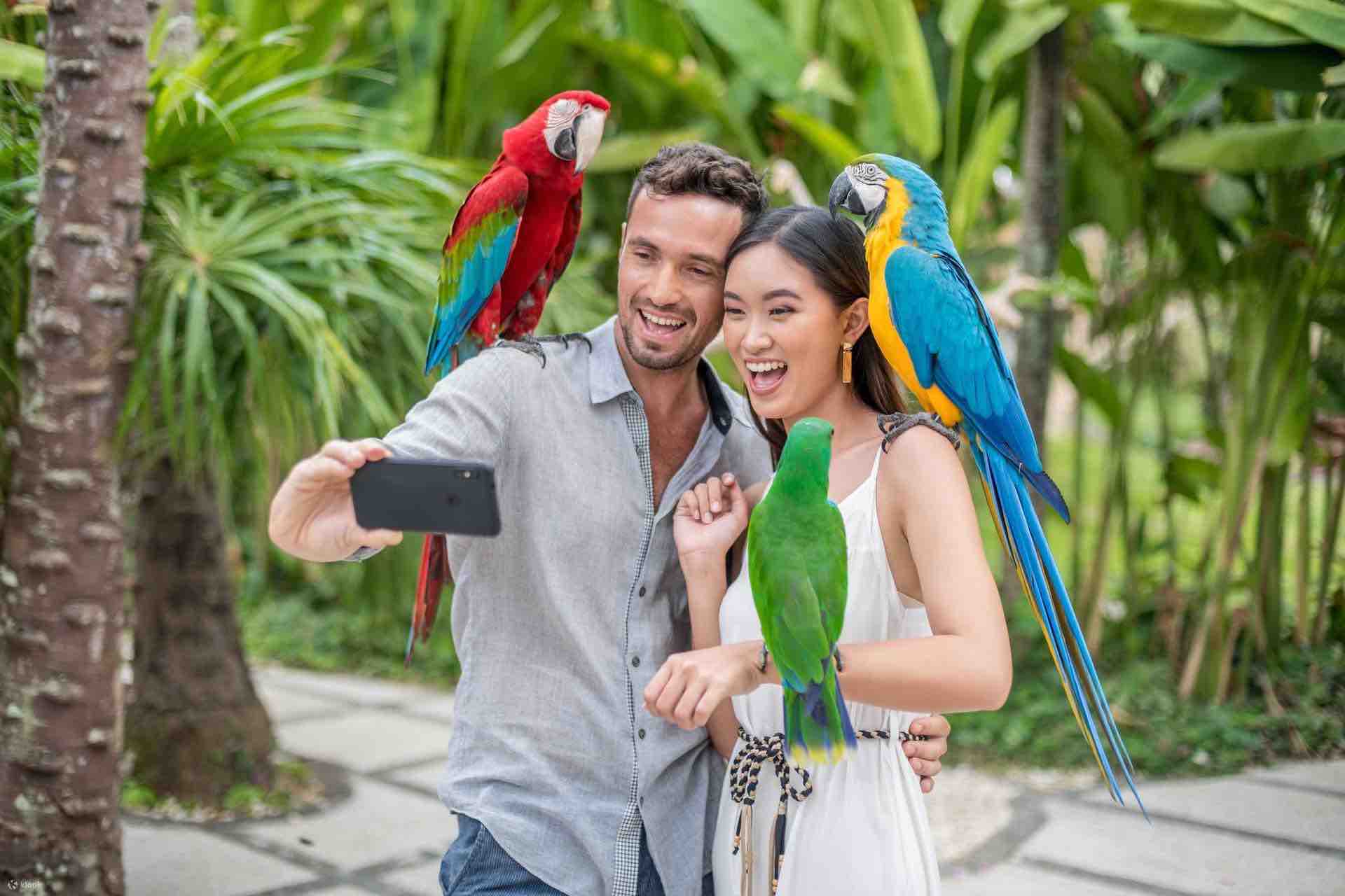 Couple with parrots taking selfie