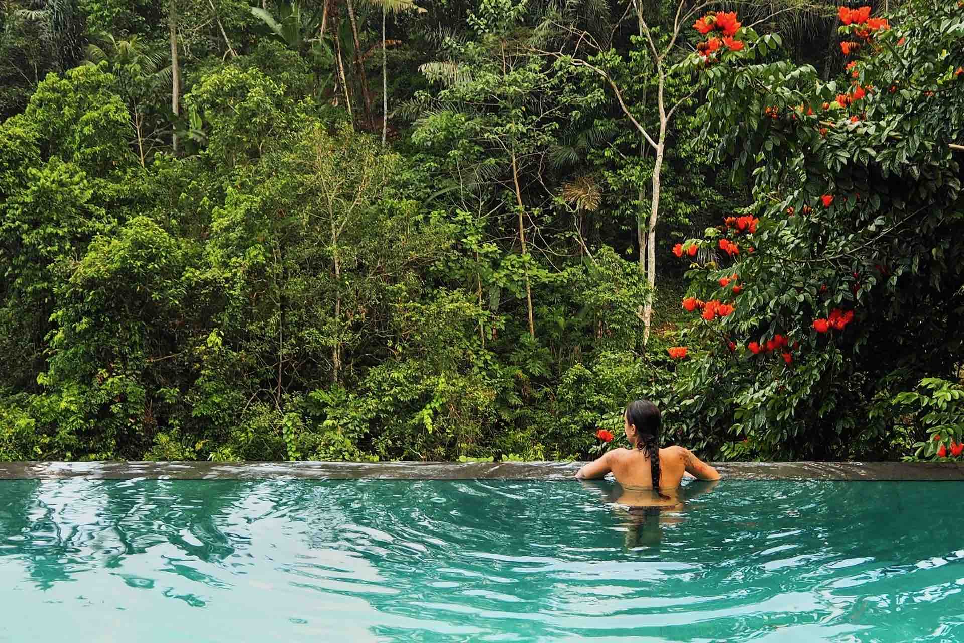 Infinity pool ubud bali jungle nature 1