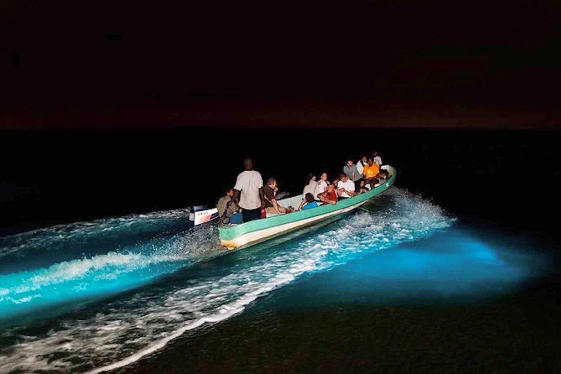 Bocas del Toro bioluminescense tour boat at night