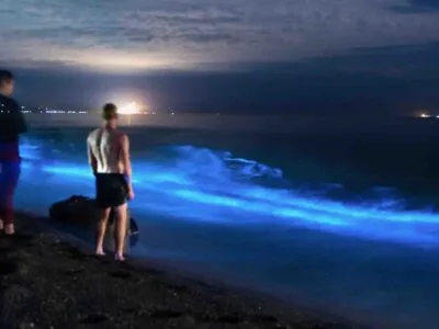 Invitado del tour de bioluminiscencia de Bocas del Toro en la playa