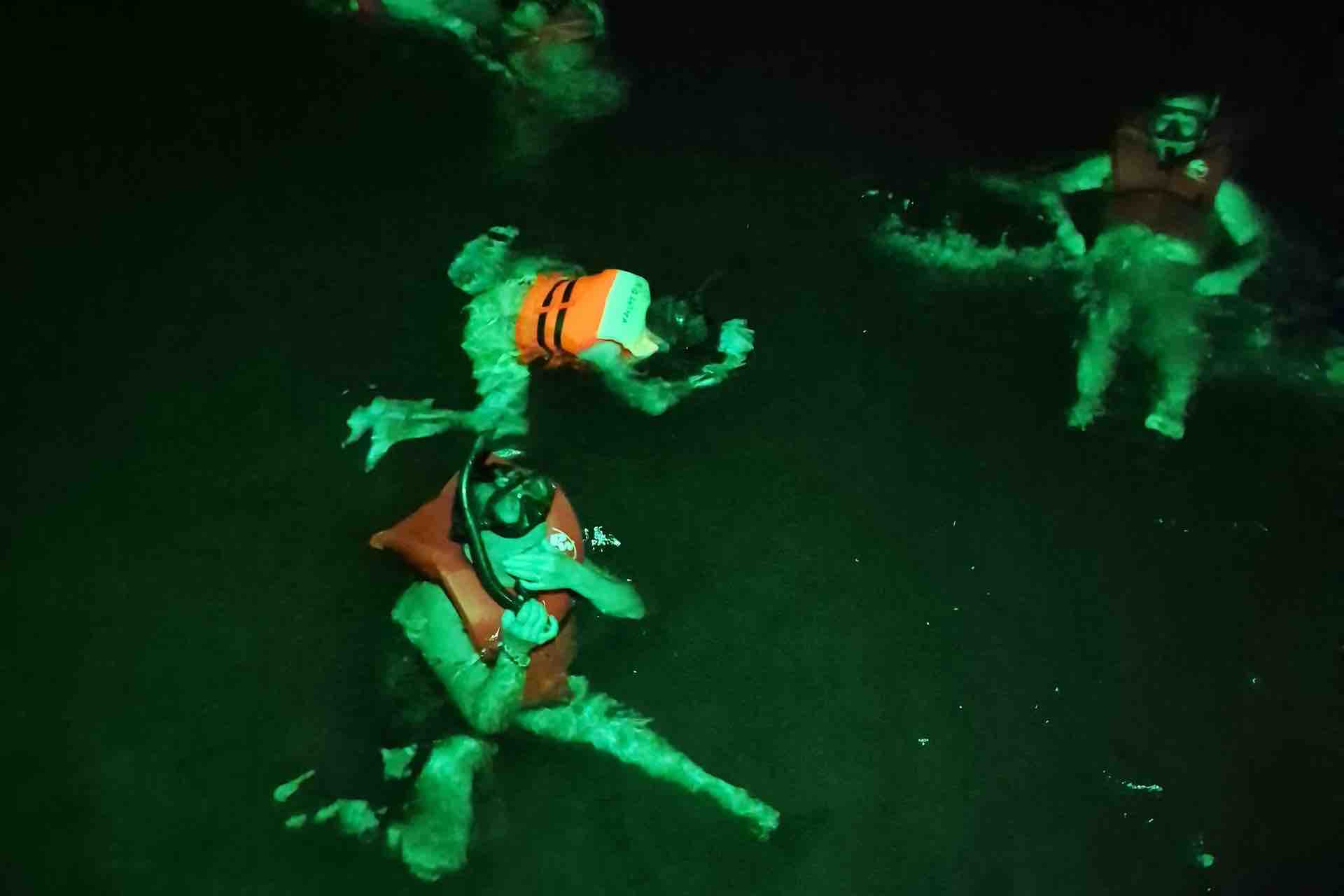 Night swimming during a Bocas del Toro bioluminescence experience