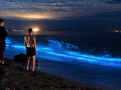 Bocas Del Toro Bioluminescence Tour – Shoreline Guests Two guests watching illuminated waves from the shore on a Bocas del Toro bioluminescence tour