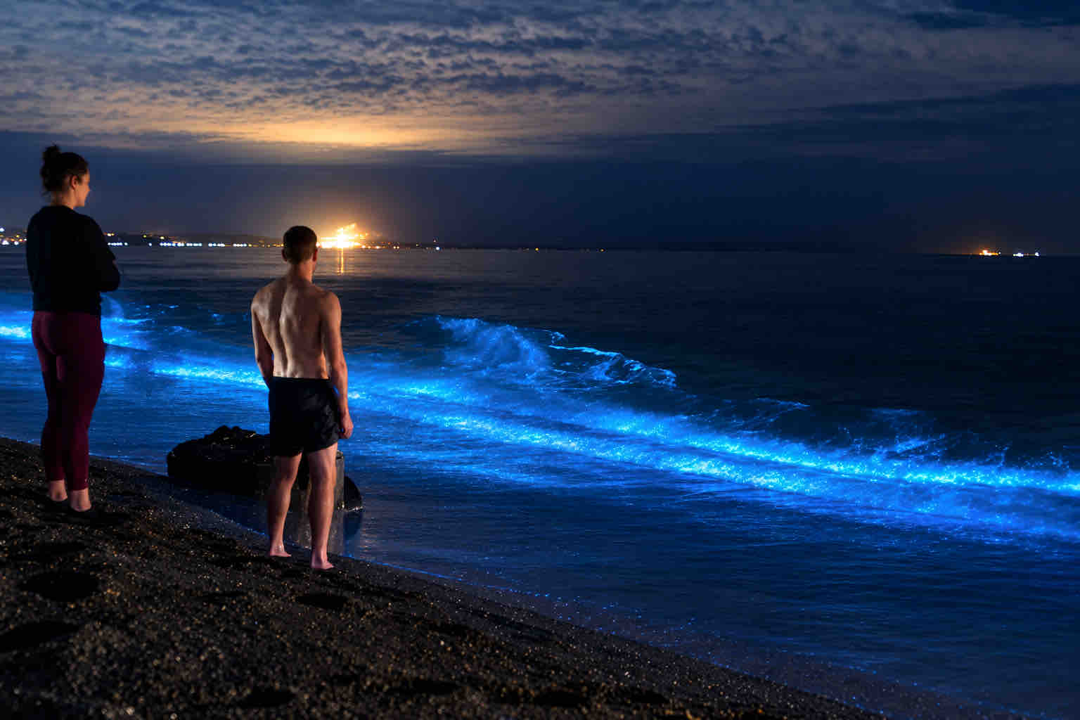 Home Elementor 29 Two guests watching illuminated waves from the shore on a Bocas del Toro bioluminescence tour