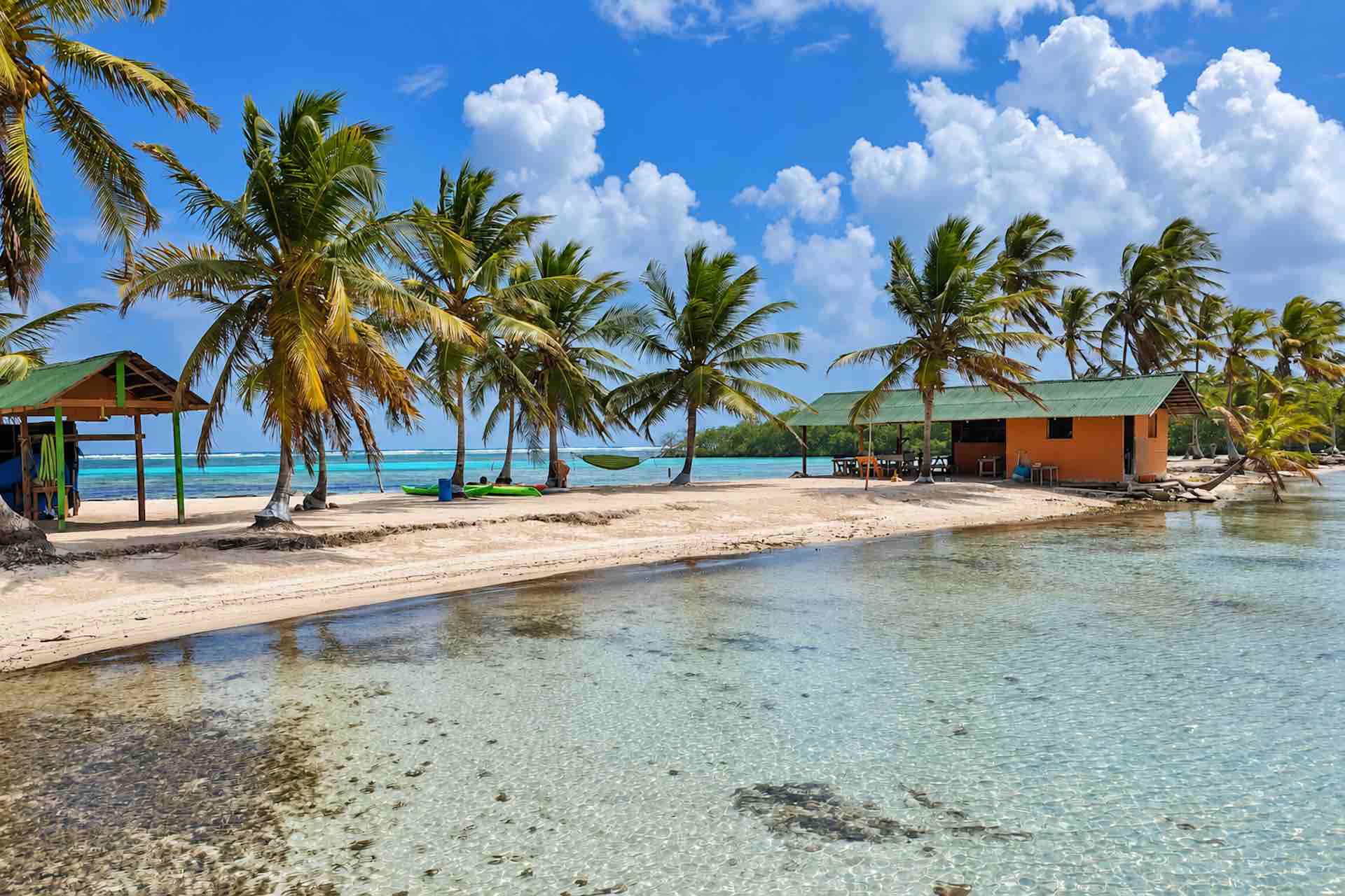 Palm trees and shallow Caribbean water along Isla Miryadup beach