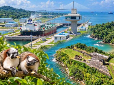 Ocean to Ocean Panama Canal Tour collage showing a ship at Agua Clara Locks, the Atlantic Bridge, Fort San Lorenzo, and tamarin monkeys.