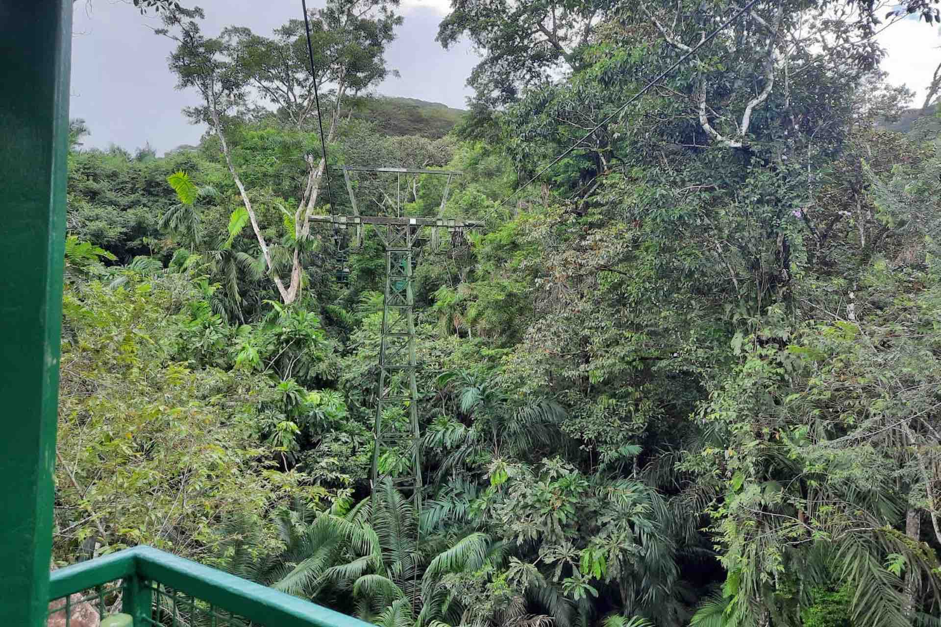 Aerial Tram Gamboa Resort Panama rainforest view jungle