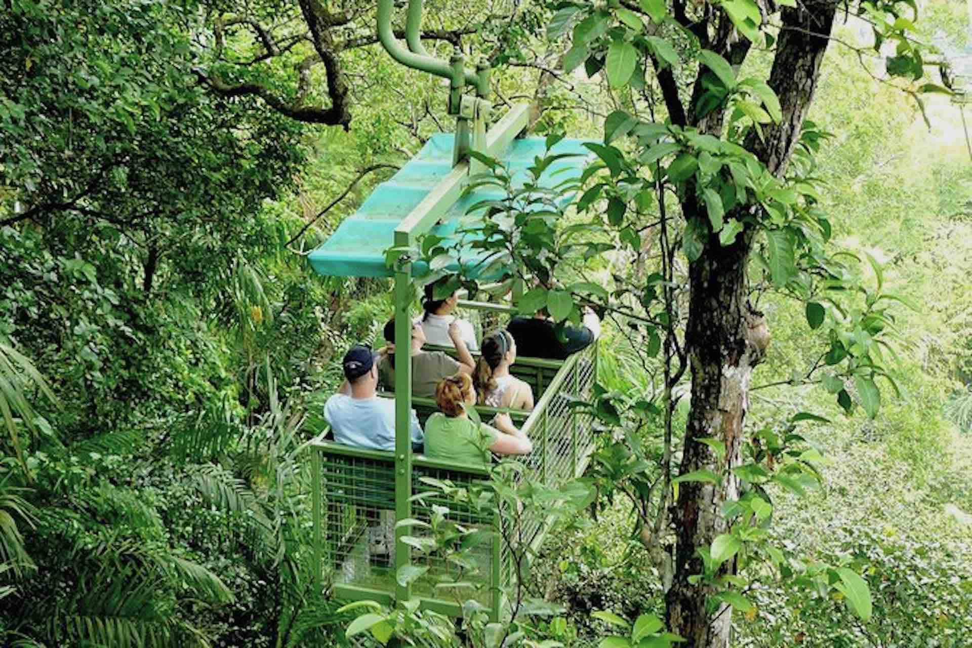 Aerial Tram Gamboa Resort cart with guests rainforest jungle 1