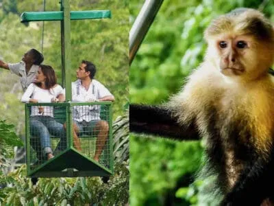 Recorrido por el canal de Panamá en el teleférico Gamboa Resort Monkey Island