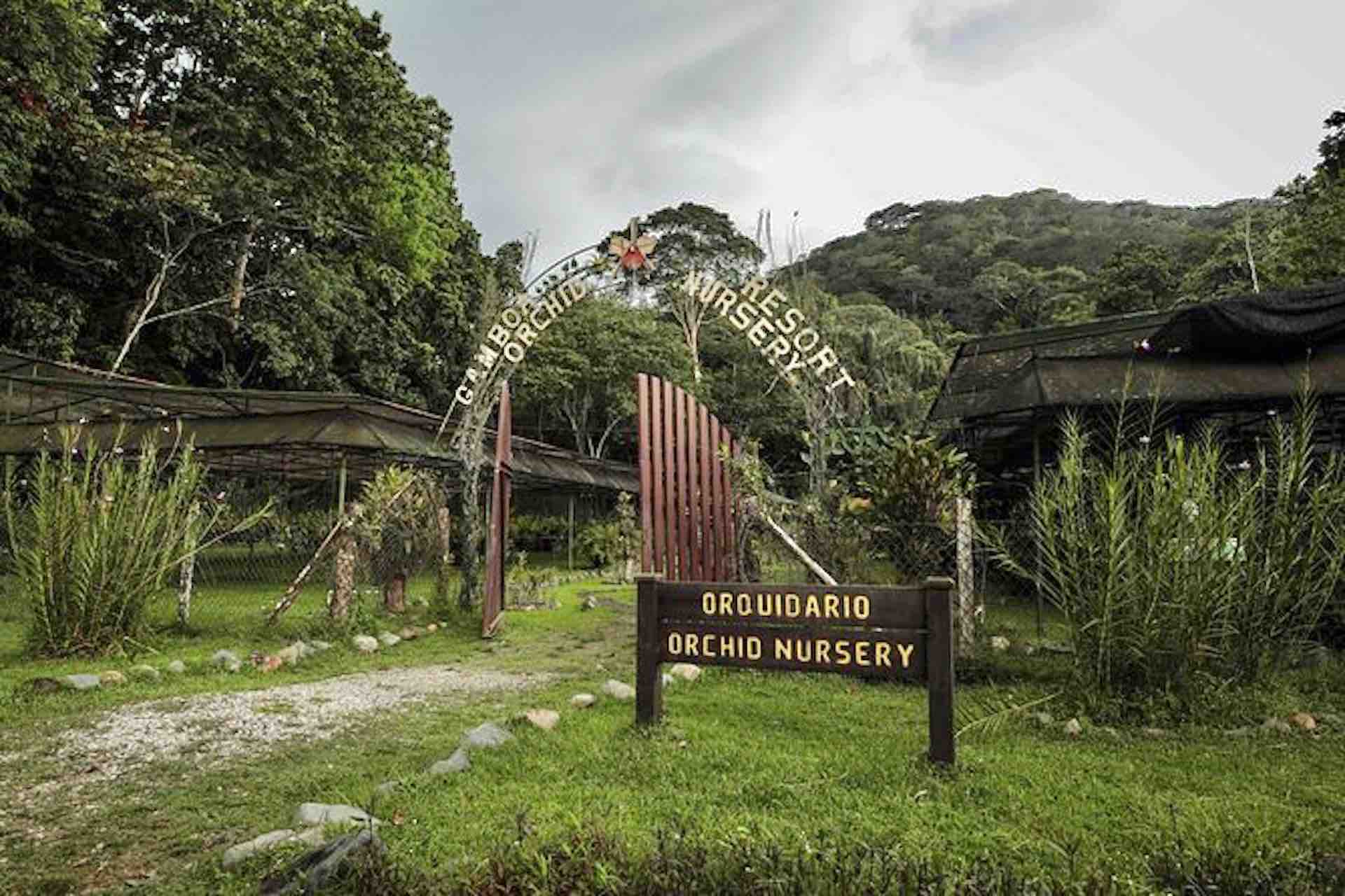Panama Sloth Sanctuary Orchid botanical garden