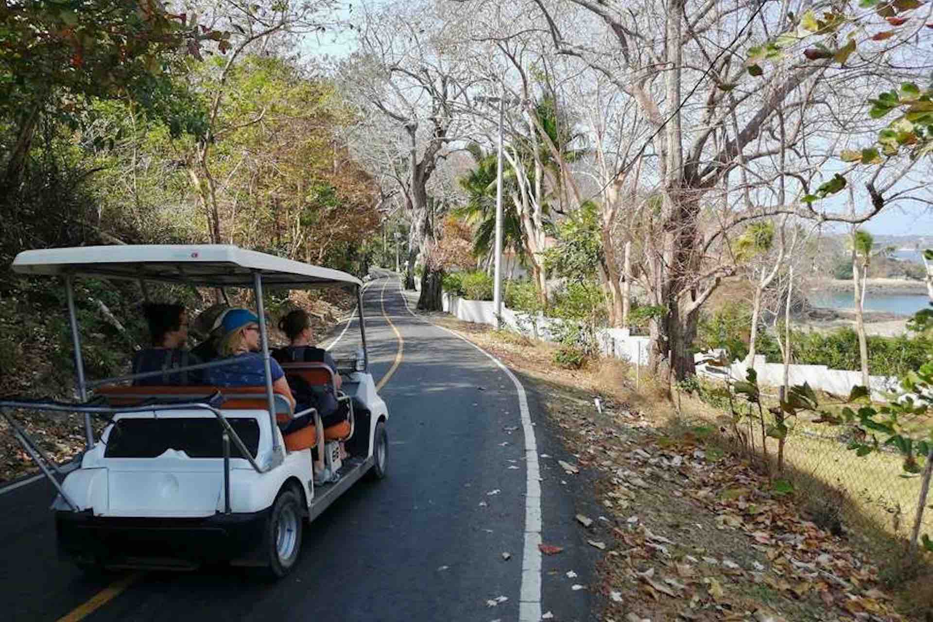 Contadora Las Perlas Island electric cart (1)
