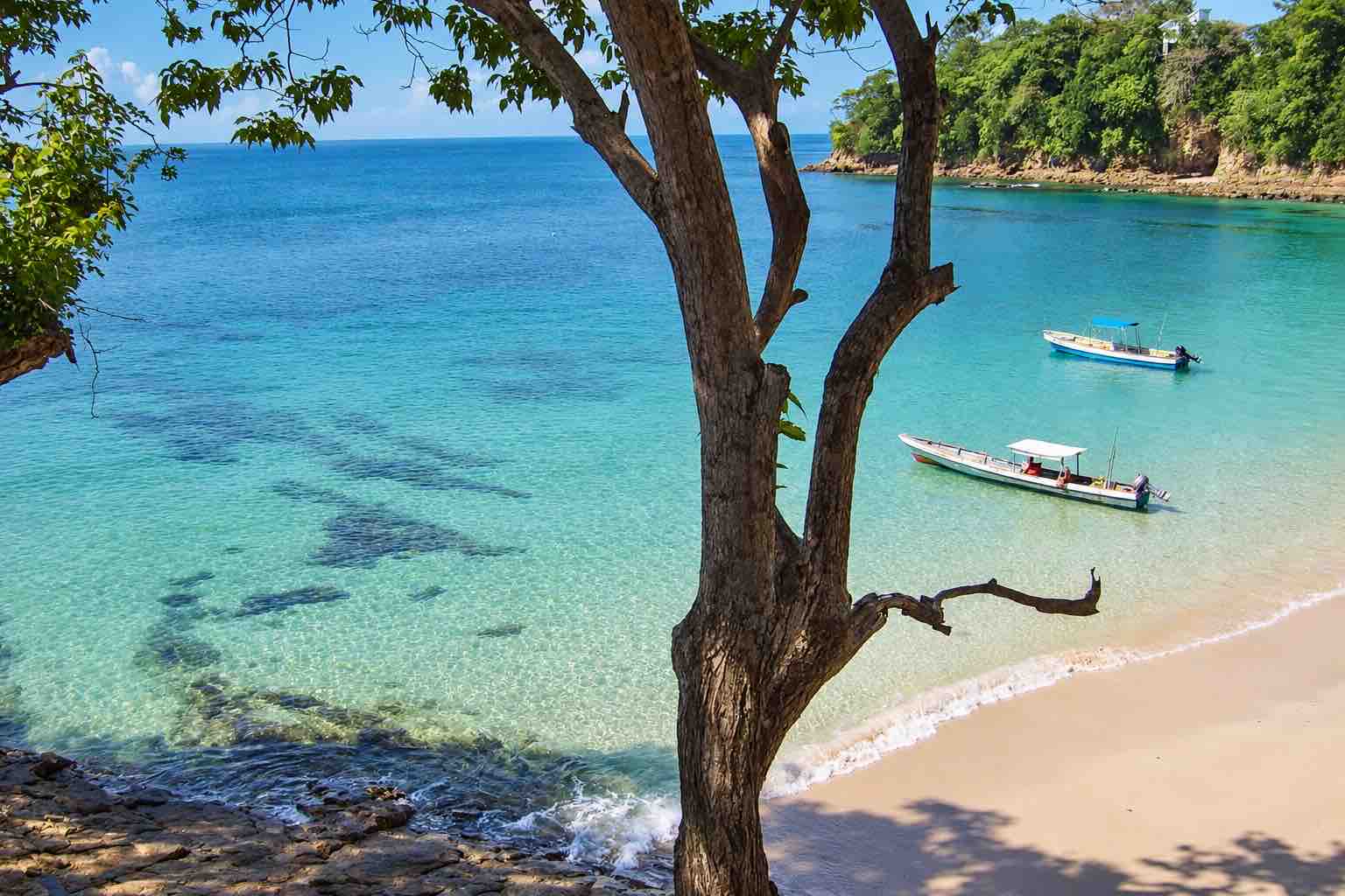 Two small boats in a clear-water bay framed by a tree