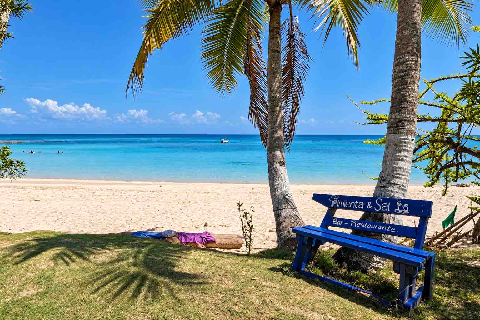Pimienta y Sal – Branded blue bench beneath palm trees overlooking Playa Larga