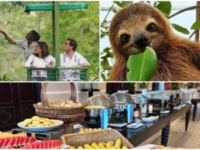 Gamboa Rainforest Resort Sloth Sanctuary Combo almuerzo buffet tours en panama que hacer en Panamá