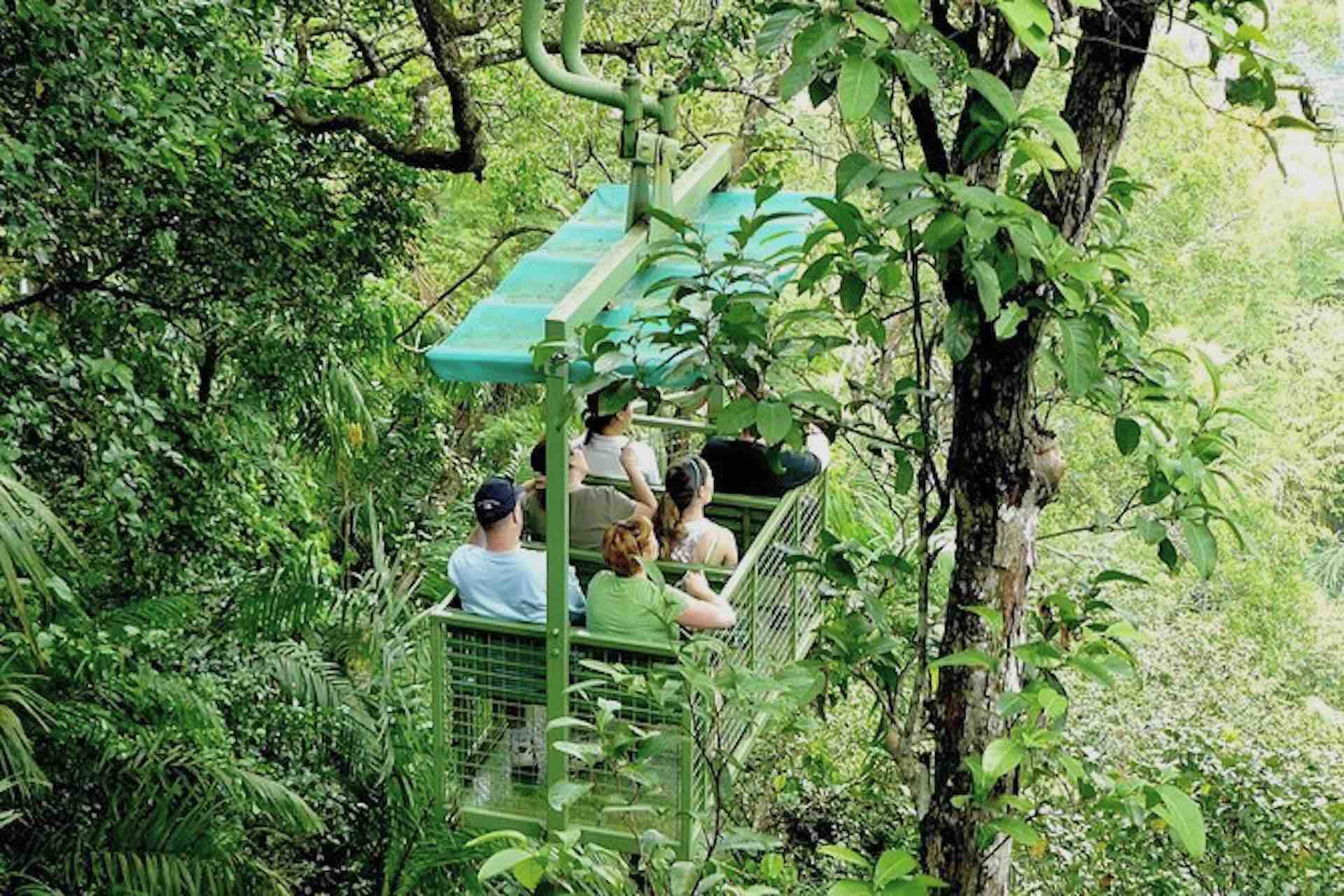Gamboa Aerial Tram tour above the rainforest in Panama