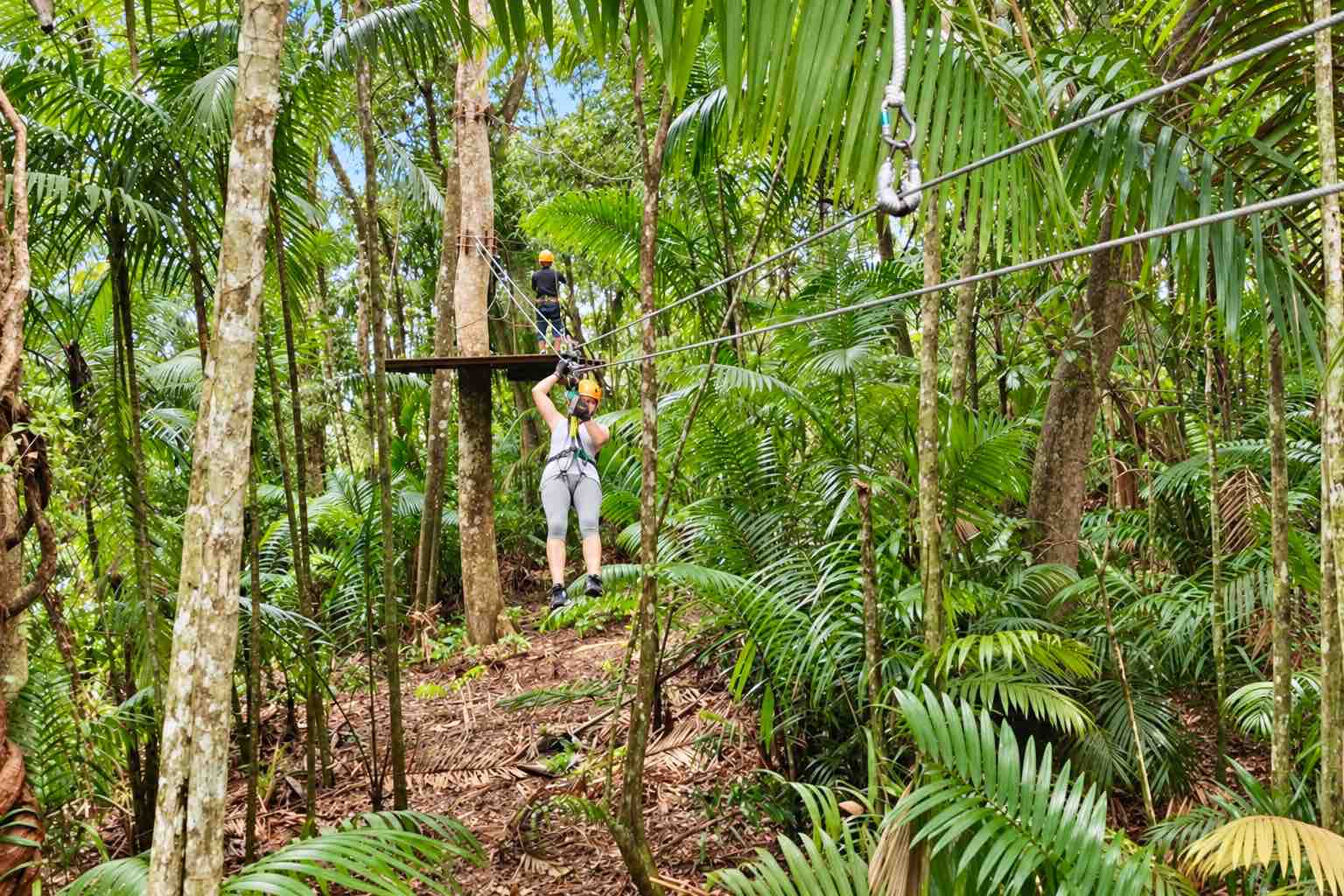 Guest riding away from a wooden tree platform through palms on the Zipline Panama circuit