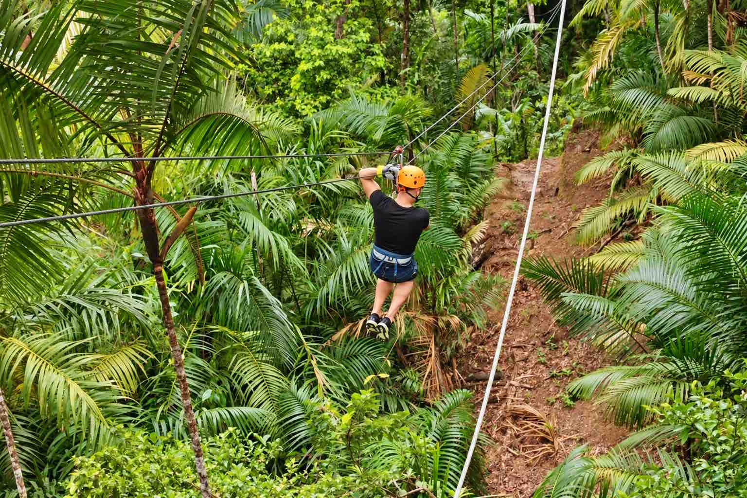 Guest in an orange helmet riding away through palms on the Zipline Panama circuit