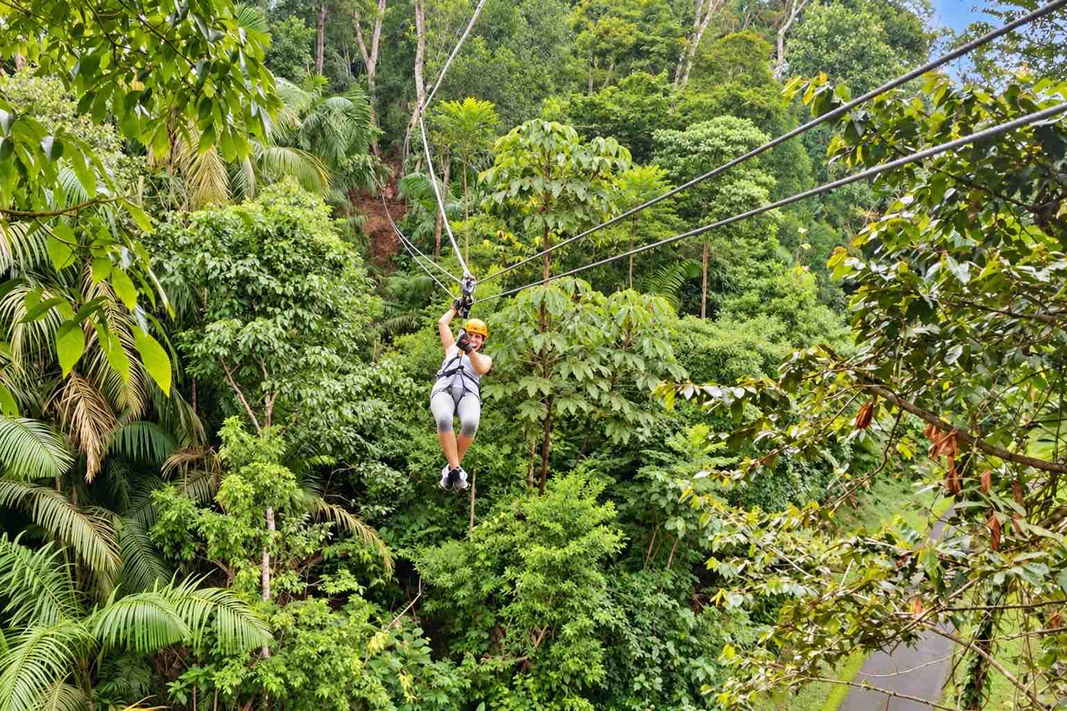 Guest suspended on zipline cables amid dense tropical foliage on the Zipline Panama tour