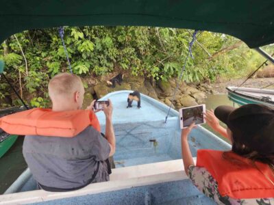 Guests seeing monkeys on a Monkey Island shore excursion from Colon Panama