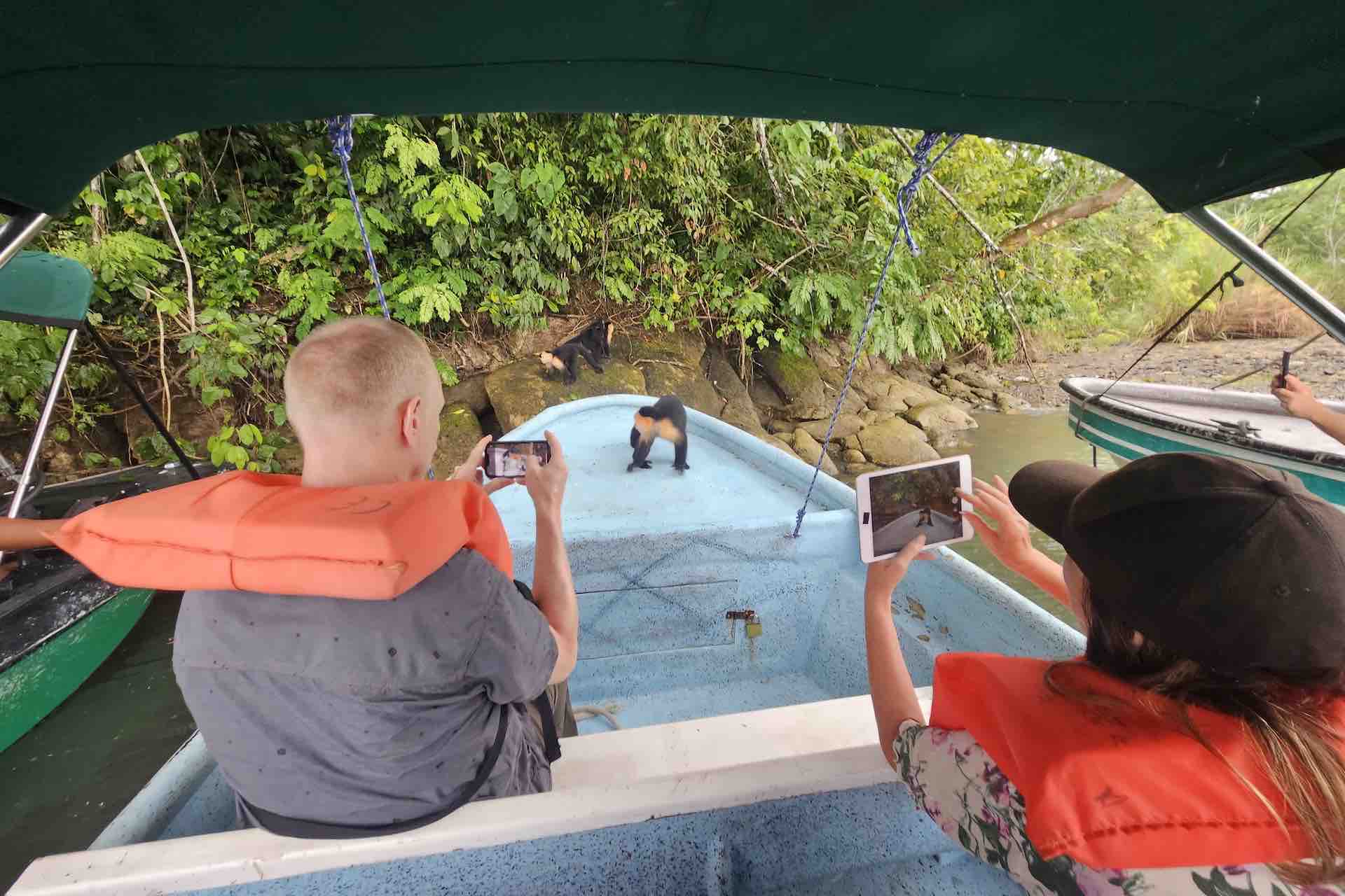 Guests seeing monkeys on a Monkey Island shore excursion from Colon Panama