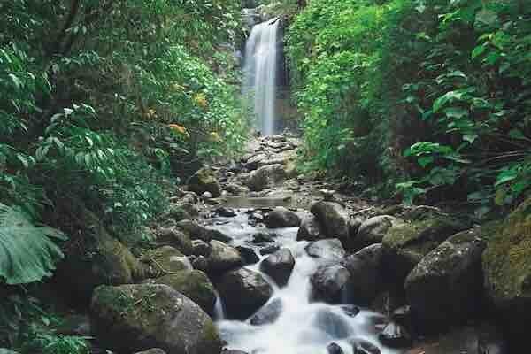 Lost Waterfalls Trail private tours in panama.jpg Lost Waterfalls Trail private tours in panama.jpg