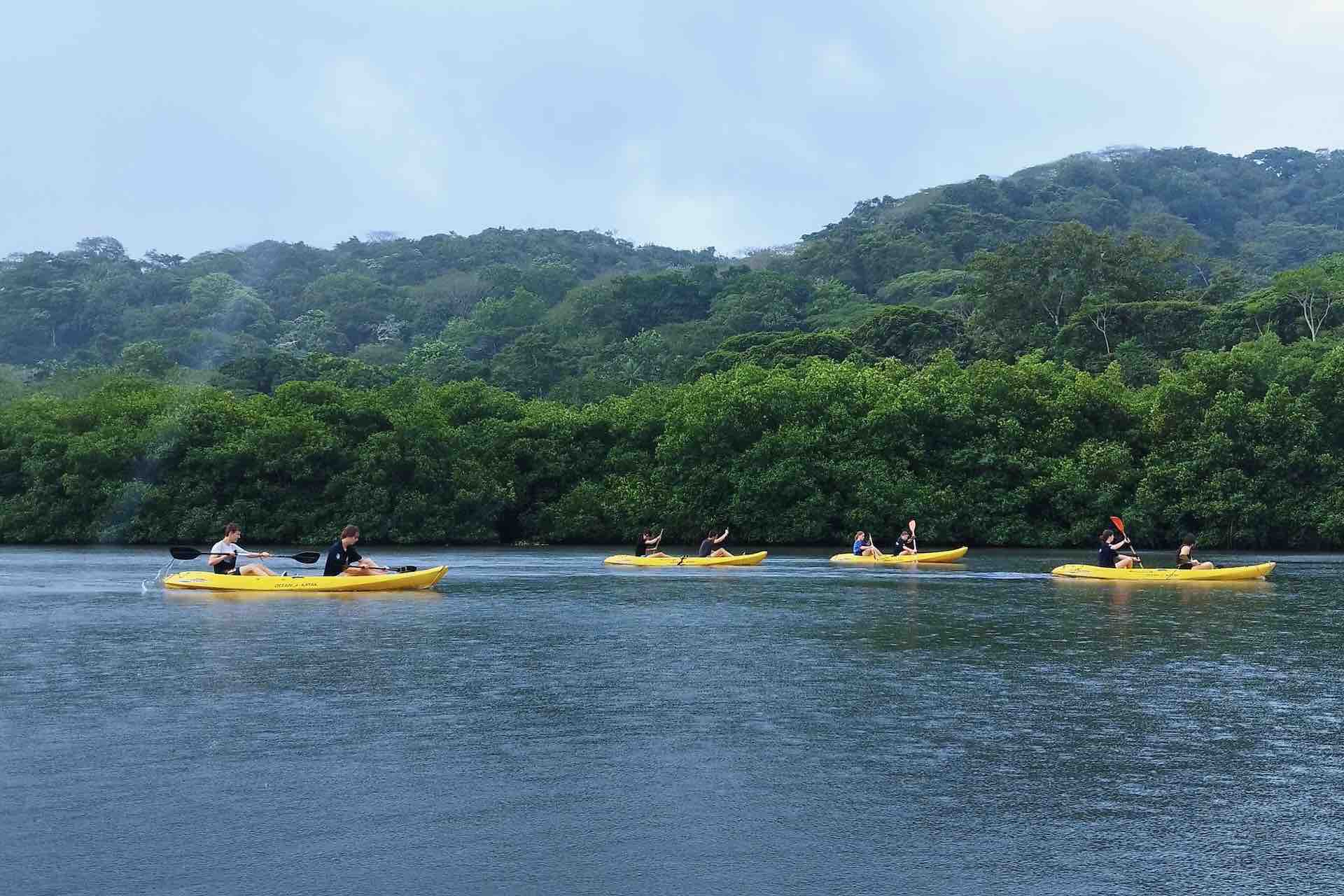 Portobelo Jungle & Reef Adventure – Kayak, Trek & Snorkel Eco Tour bay tour