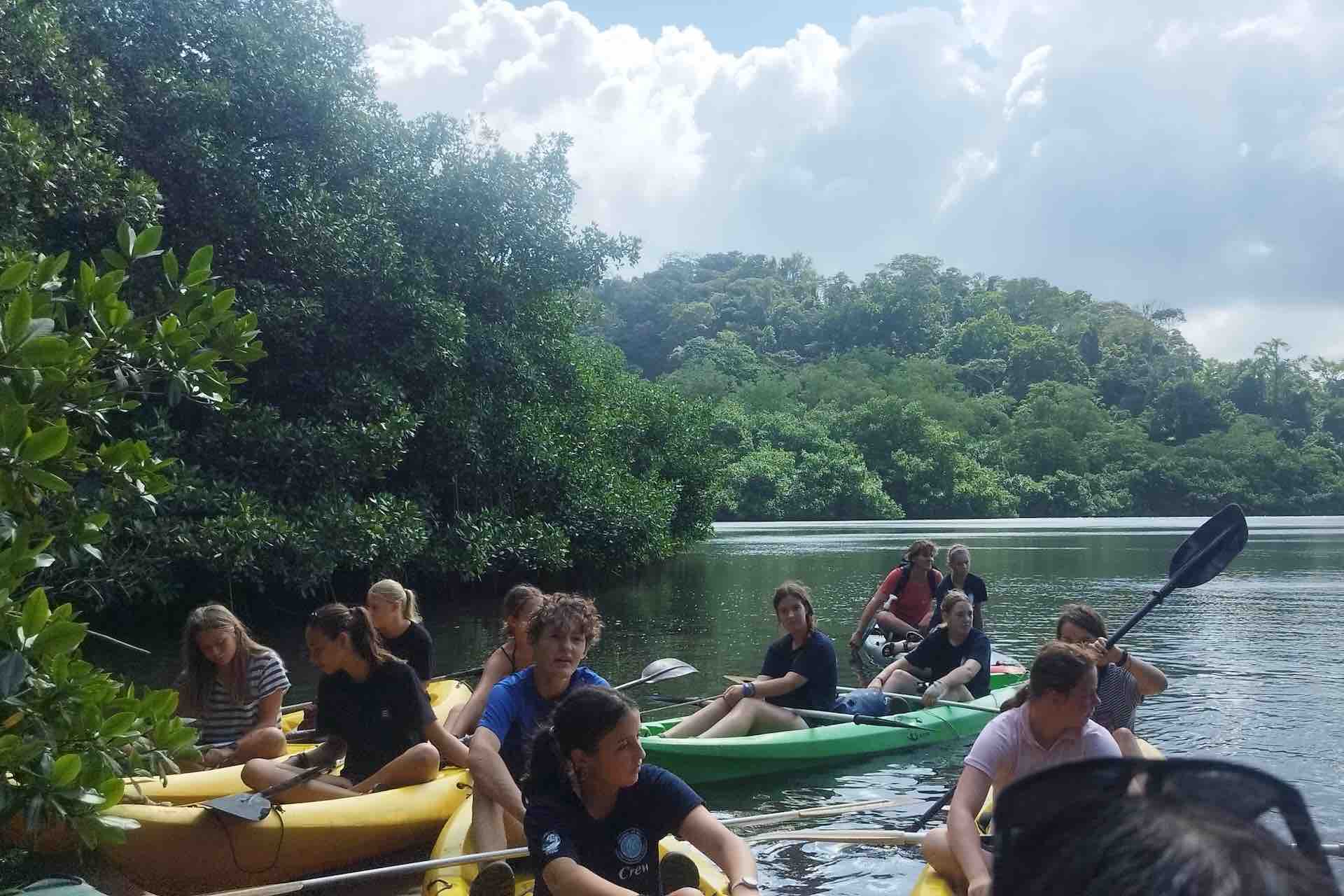 Portobelo Jungle & Reef Adventure – Kayak, Trek & Snorkel Eco Tour guests in kayaks